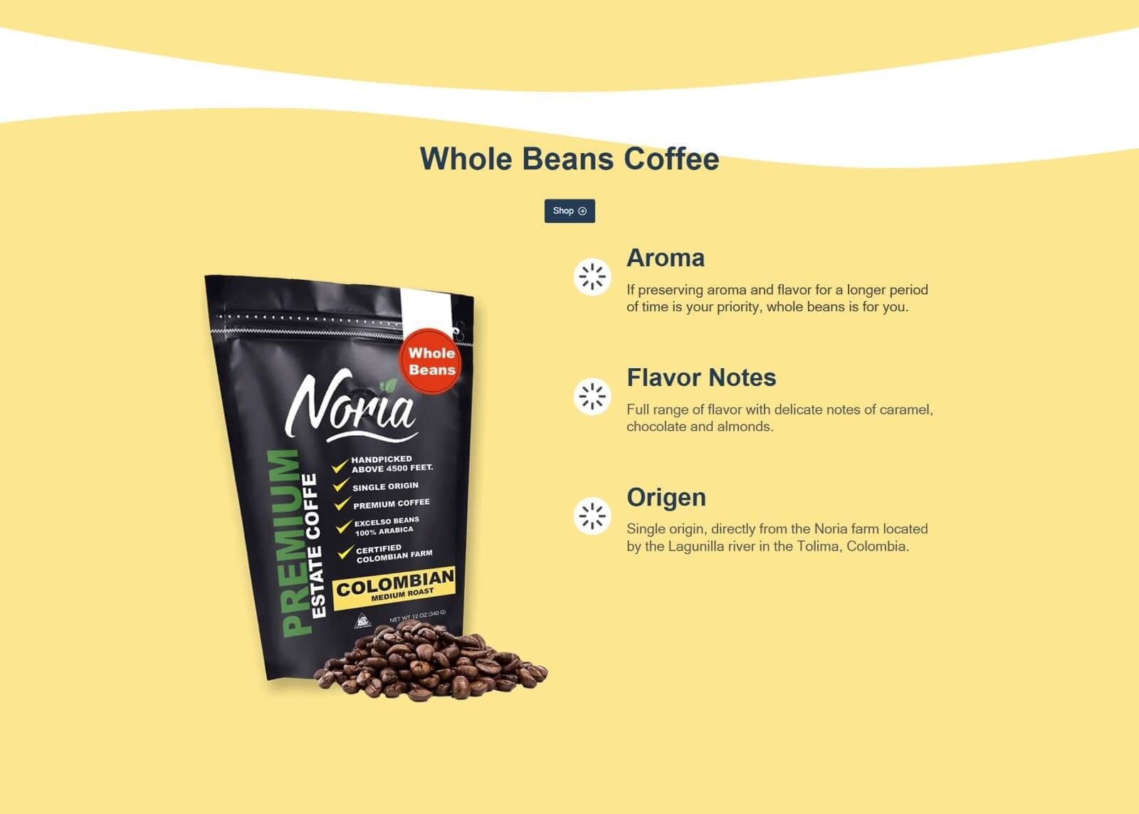 Shop Page Screenshot